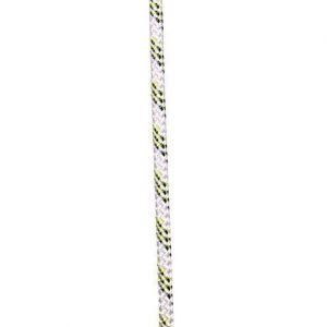 63029