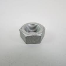 55583