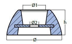 320054